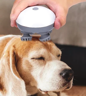 Masajeador Portátil StockLíder